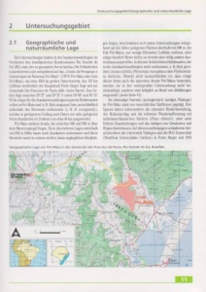 Frösche im brasilianischen Araukarienwald